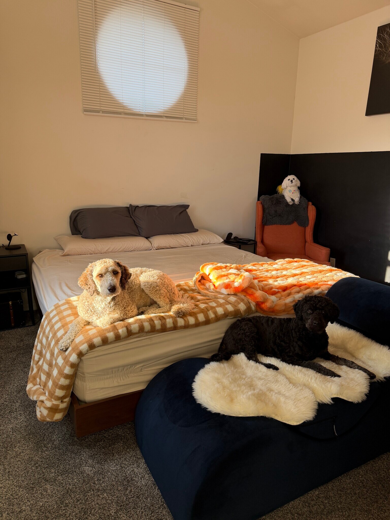 Building Photo - 70 N Main St