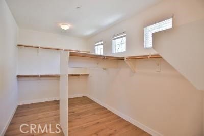 Building Photo - 3867 Elderberry Cir
