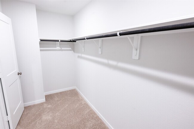 Building Photo - 211 Brazen Forest Trl