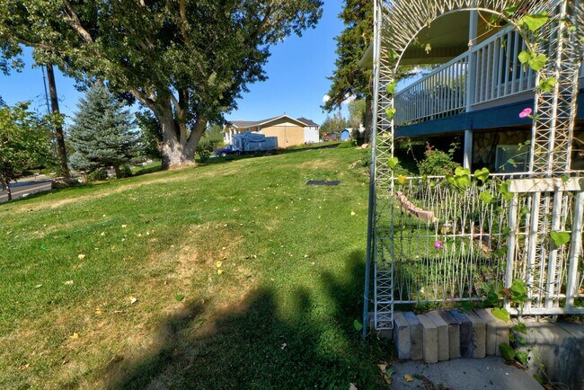 Building Photo - Basement Apartment Near Springville Canyon