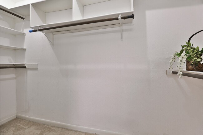 Building Photo - 5005 Georgi Ln