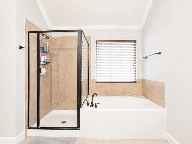 Building Photo - STUNNING LUXURY HOME  |  OPEN-CONCEPT  |  OFFICE & GAME ROOM  |  GREEN BELT  |  ALAMO RANCH  |  E...