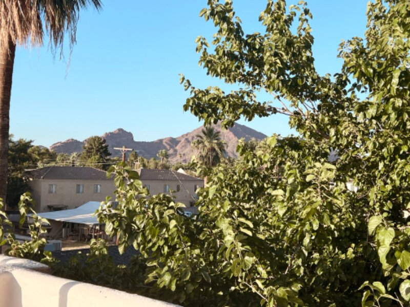 Building Photo - 3731 E Mitchell Dr