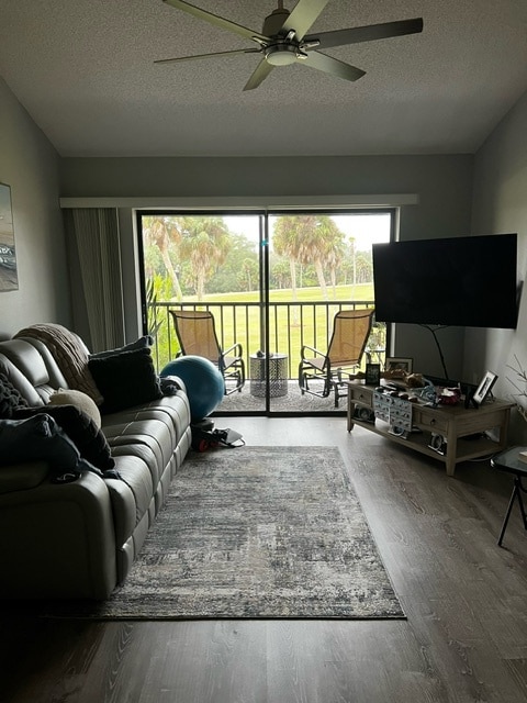 Living room - 927 Capri Isles Blvd