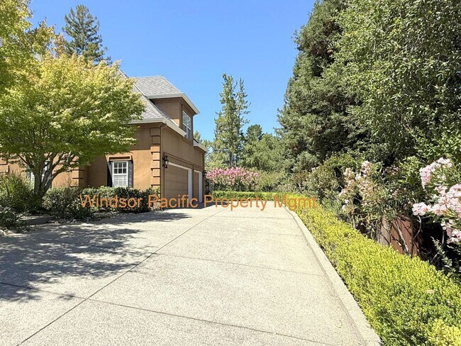 Building Photo - NEW PRICE ! Westside Alamo Custom Estate W...