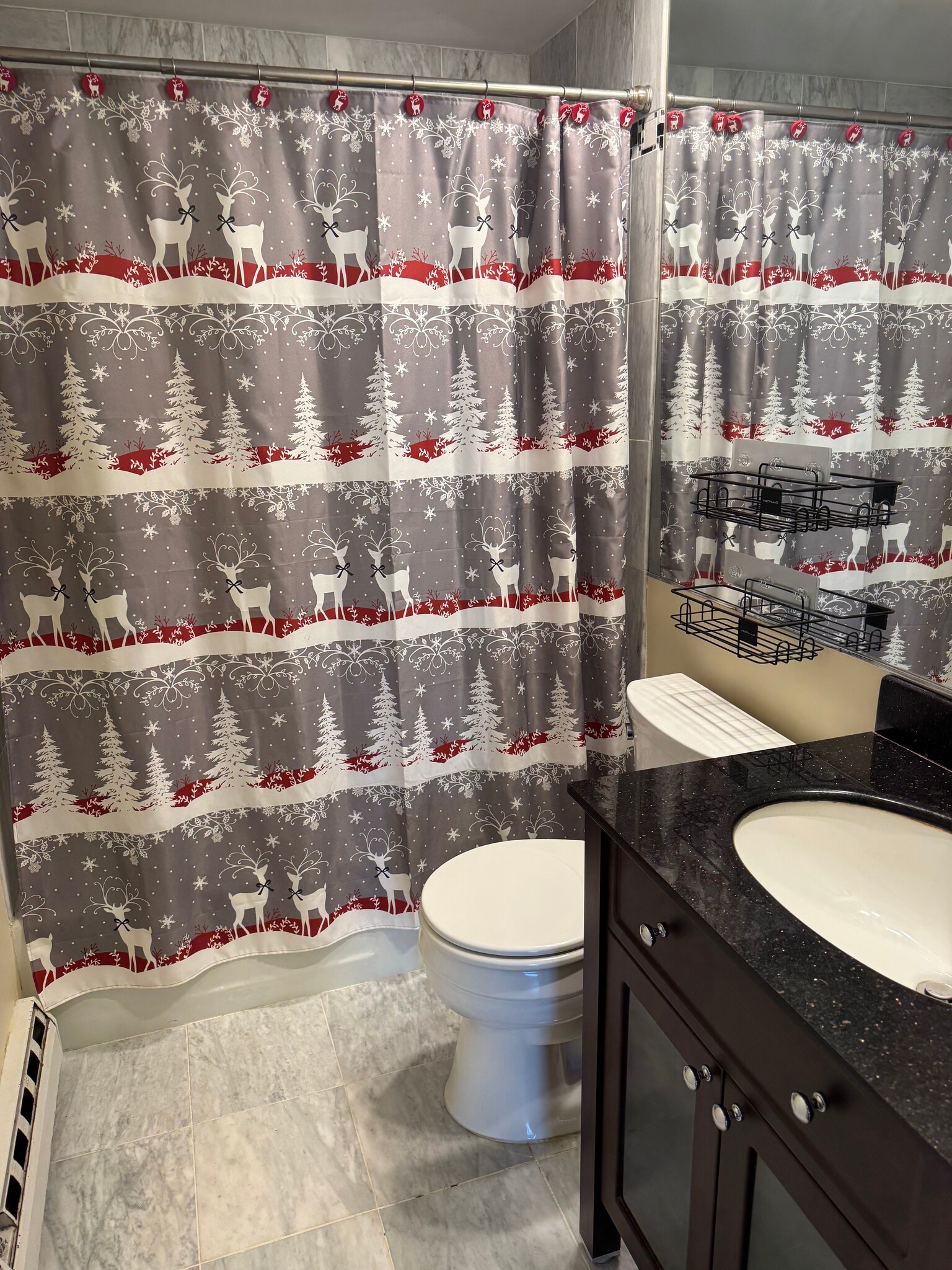 Fully renovated bathroom - 51 Schuyler Ave