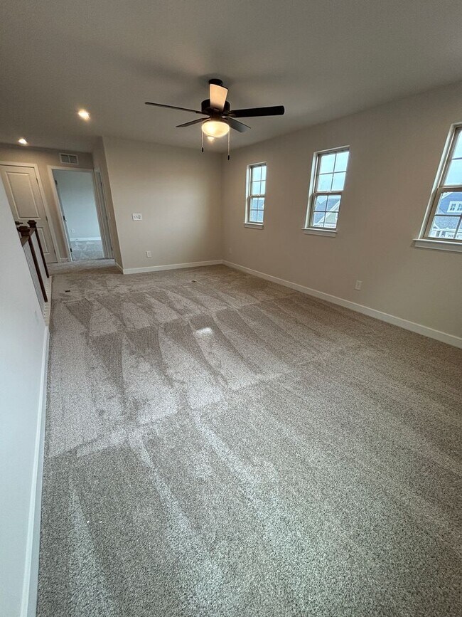 Building Photo - Luxury- New Construction