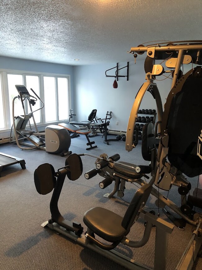 Gym - 12 Northbrook Dr