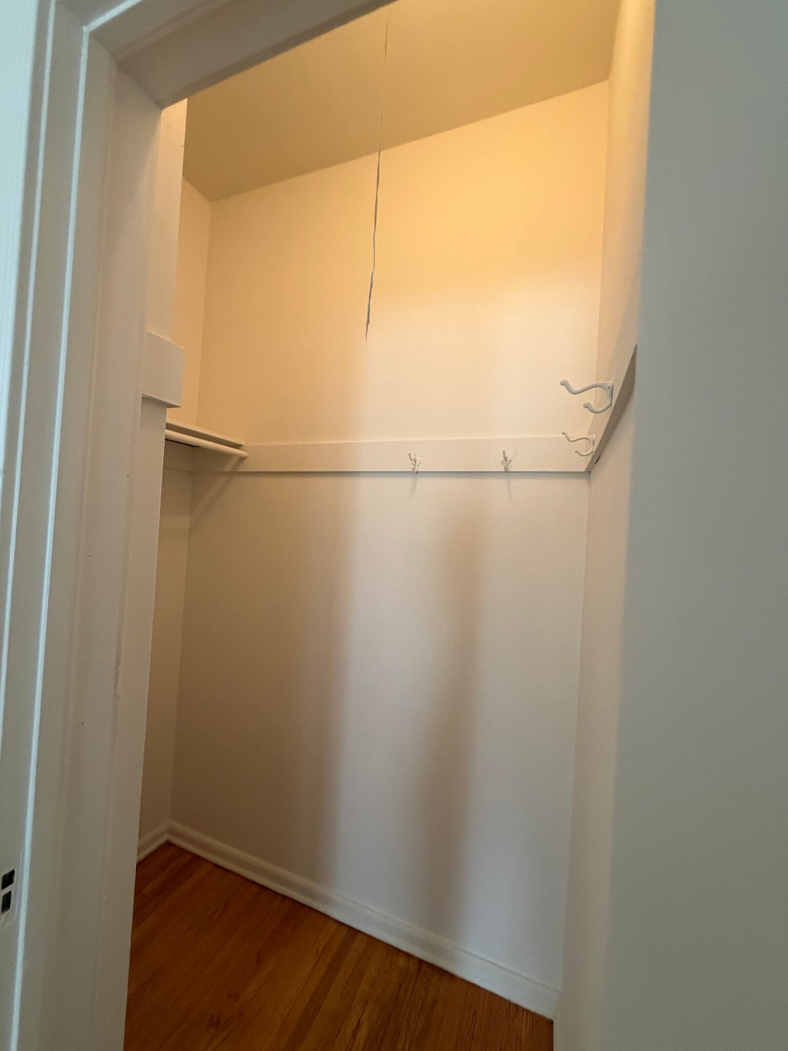 Living Room Closet - 1068 S Orange Grove Ave