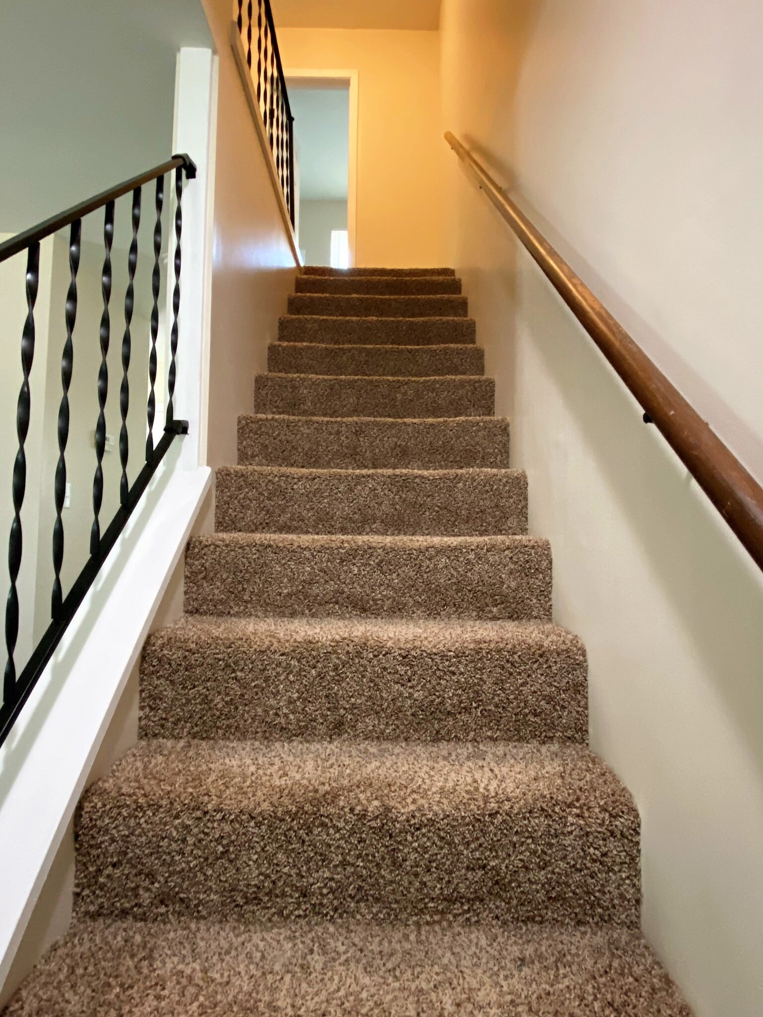 Stairs - New Carpet - 2146 Washtenaw Ave