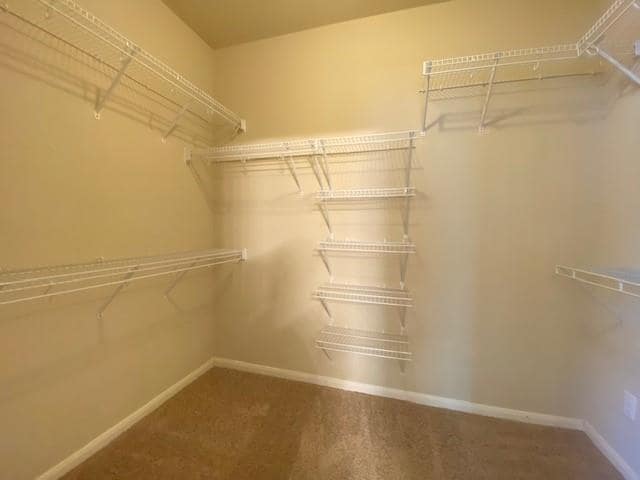 Building Photo - 3444 Pine Needle Cir