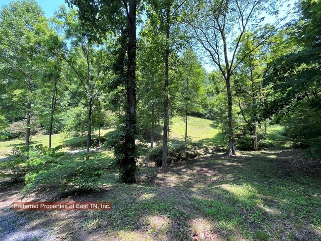 Building Photo - 709 Brown Mountain Rd