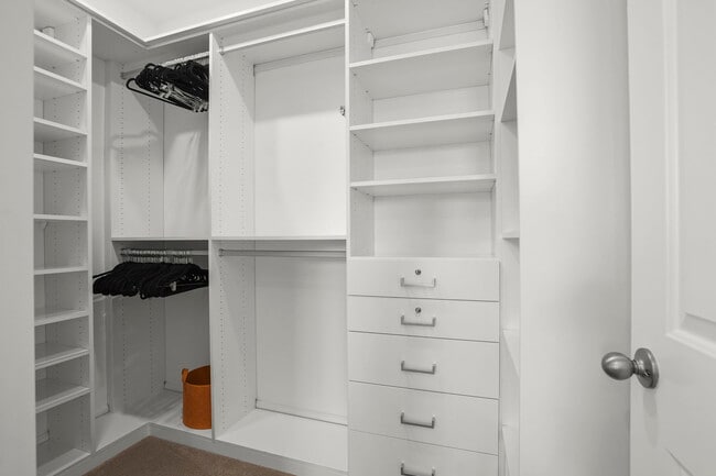 Building Photo - 3893 Villa Vista Pl