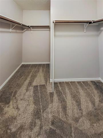 Building Photo - 709 Granite Ridge Dr