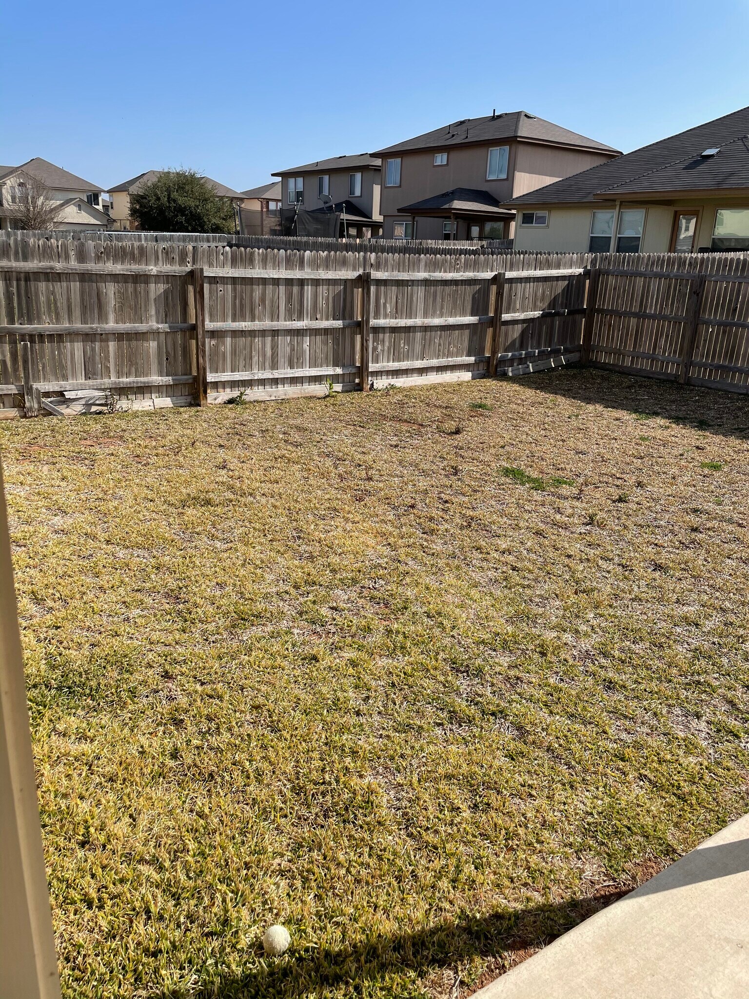 BackYard - 4606 Lookout Mountain Ln