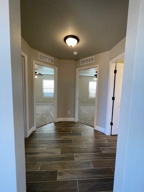 Building Photo - 3217 Mt Nebo Dr