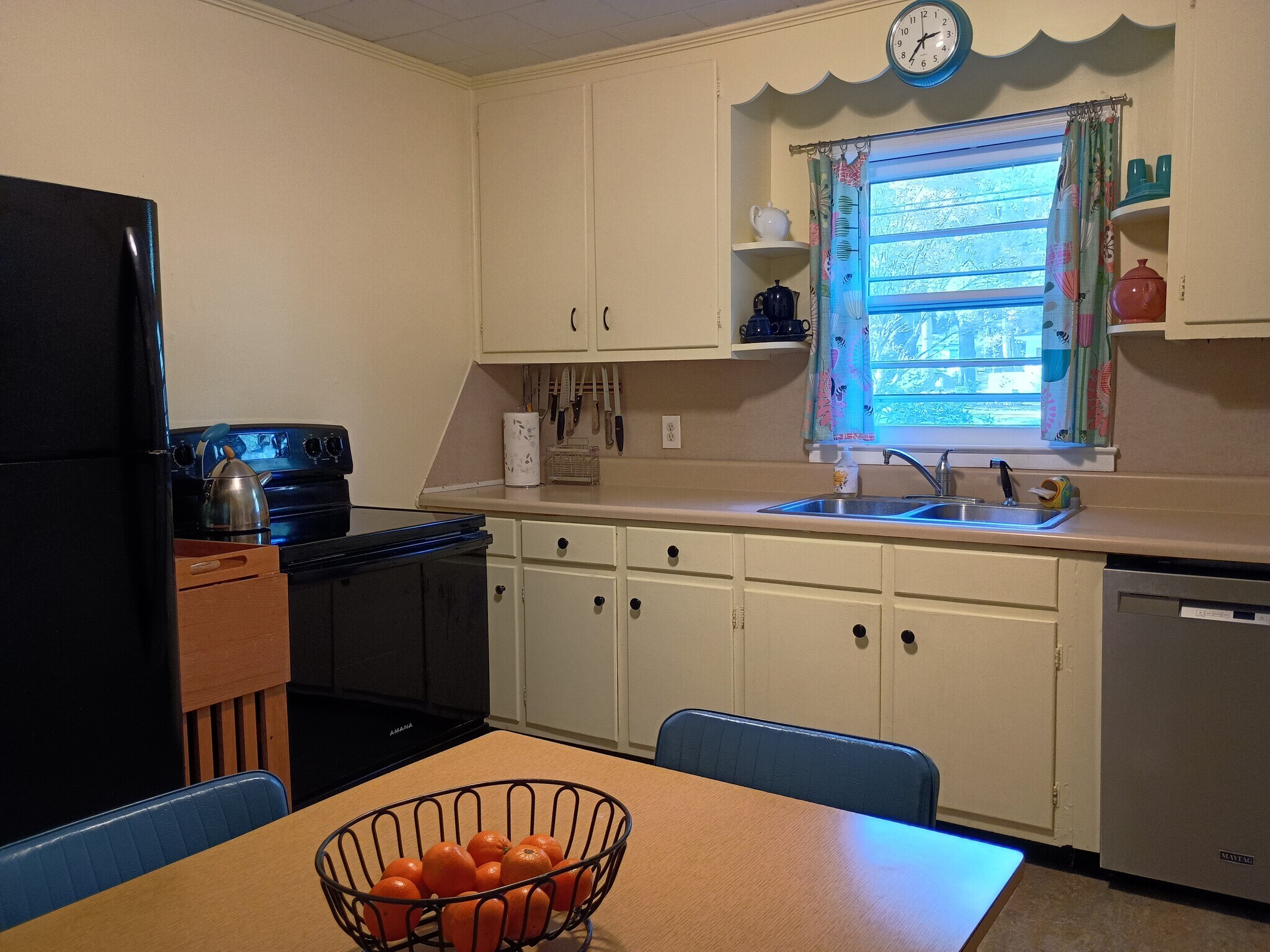 Kitchen has fridge, stove, DW, microwave - 223 Barclay Road