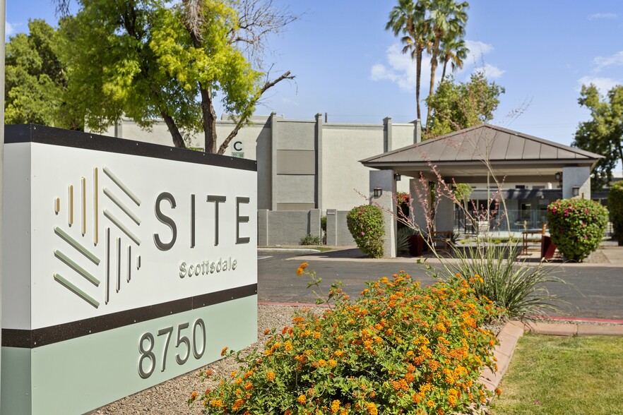 Primary Photo - SITE Scottsdale