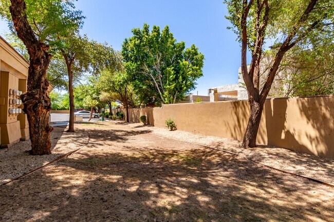 Building Photo - STUNNING UPDATED 1 BED / 1 BATH BILTMORE A...