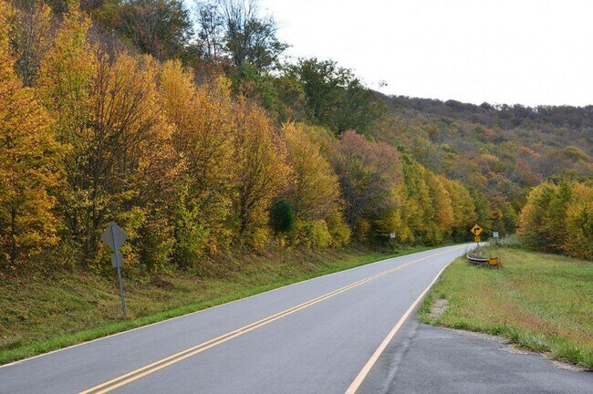 Building Photo - 644 Gladdens Creek Rd