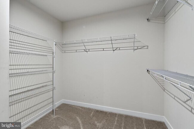 Building Photo - 1047 Watson Ct
