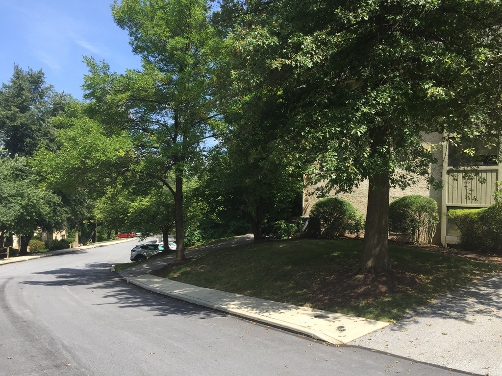 Opposite side of street - 443 Lynetree Dr