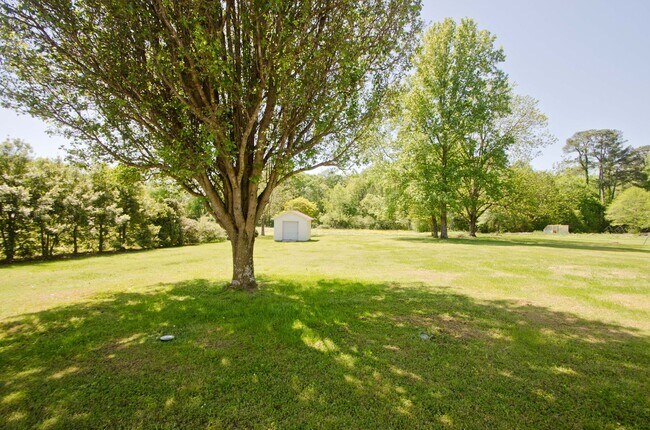 Building Photo - Lovely 3 bed 2 bath in East Limestone minutes to Athens!