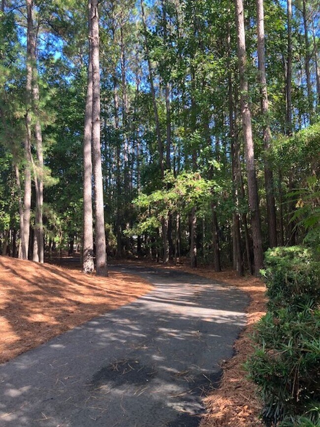 Building Photo - Fully Furnished: Stunning 3 - Bedroom 2.5 - Bath Townhome - Mt. Pleasant, SC