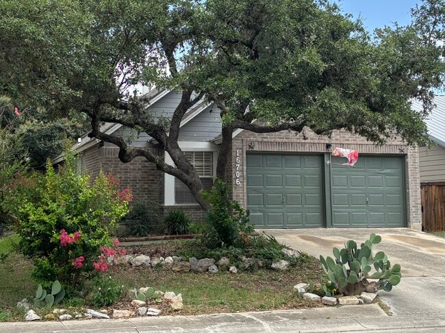 Primary Photo - 16706 Cedar Tree Way