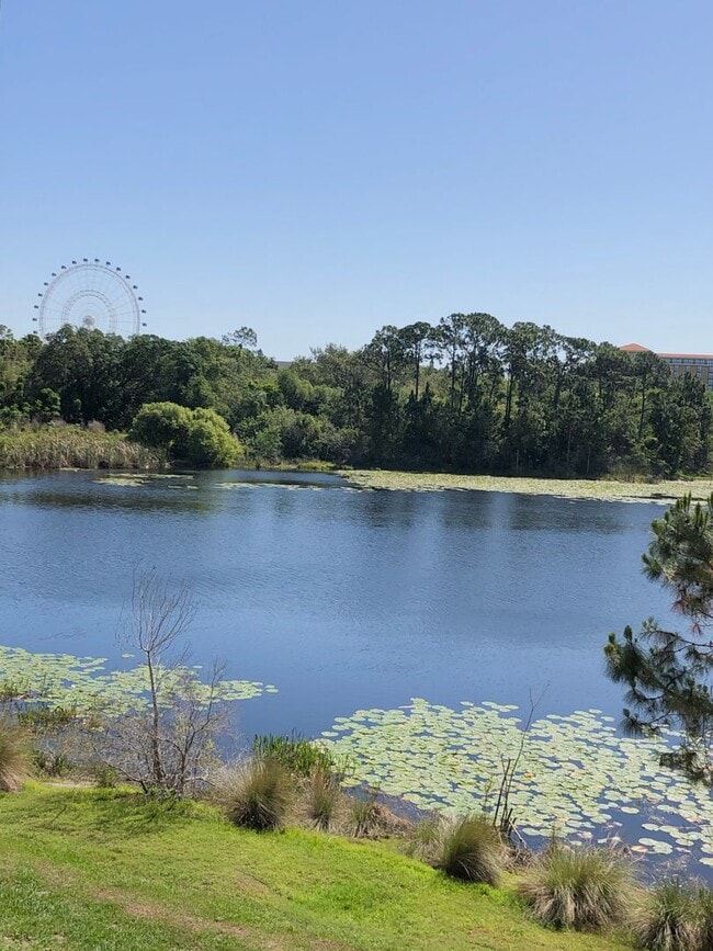 Building Photo - Charming 2/2 Spacious Condo with a Screened Balcony in the Highly Desired Dr. Phillips Area - Orl...