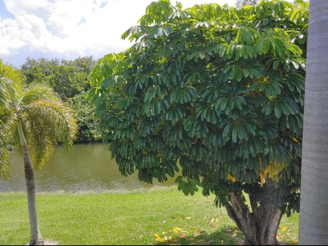 Building Photo - 63 Windsor C