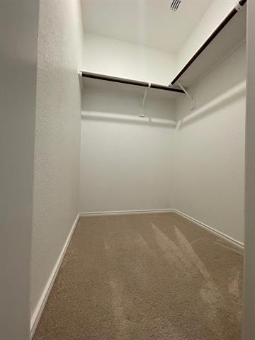 Building Photo - 8701 Whistling Duck Dr