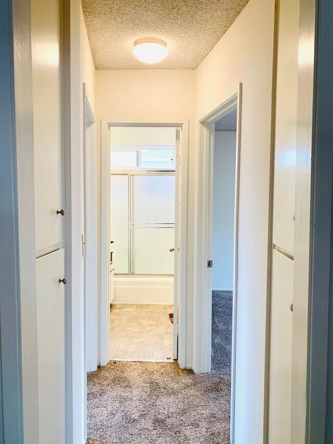 Building Photo - LIVE BY THE BEACH IN MISSION BEACH!  2BR/1...