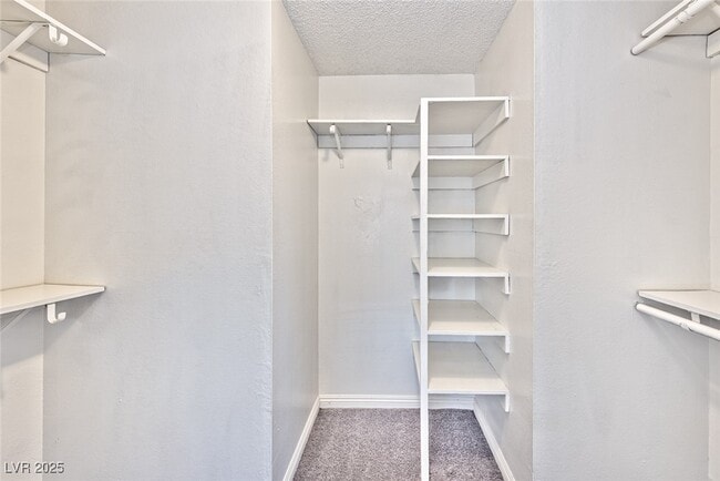 Building Photo - 2408 Paradise Village Way