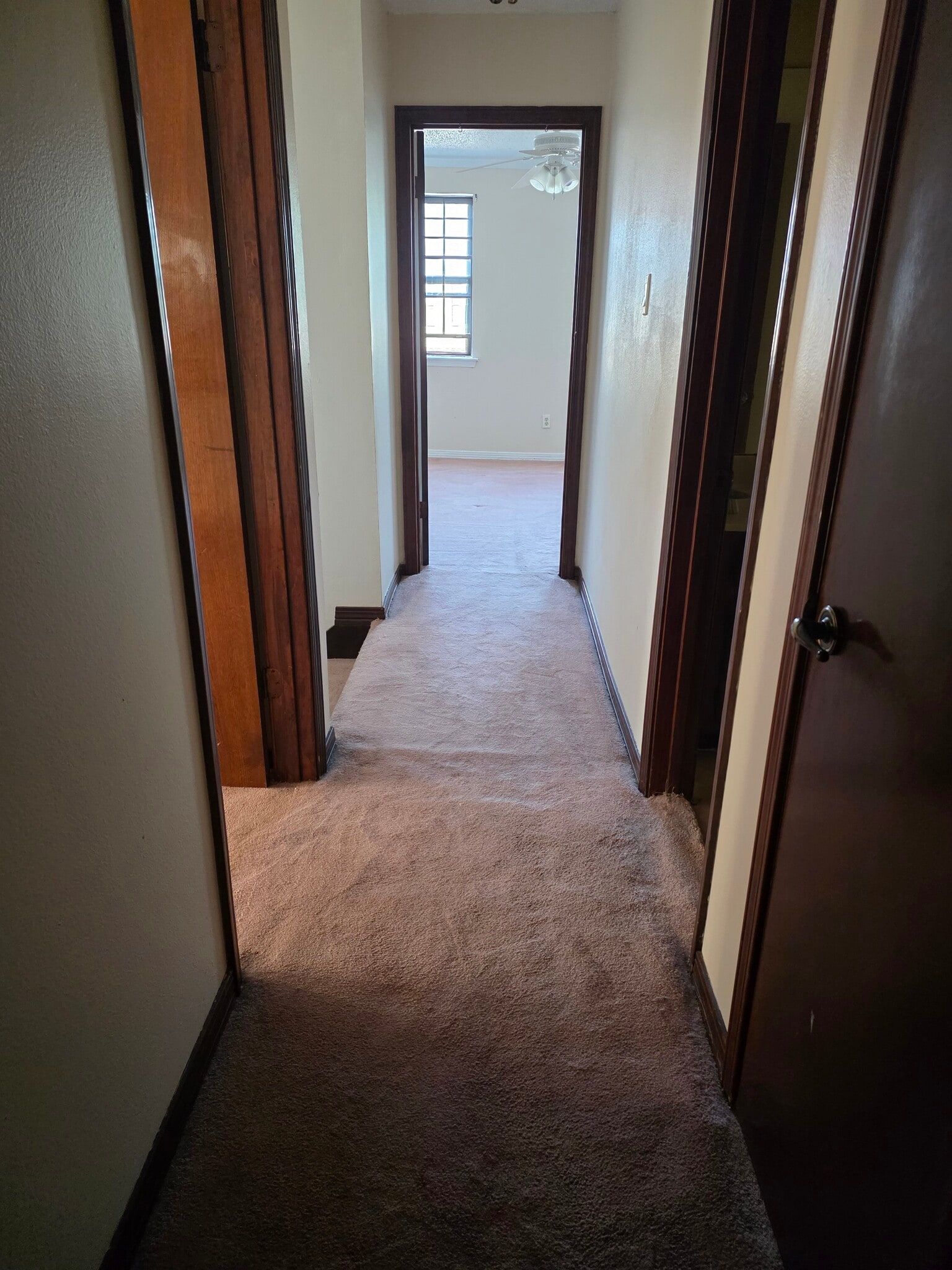 Building Photo - 4213 Paradis Ln