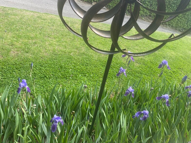 Side lawn - 1013 N 63rd St