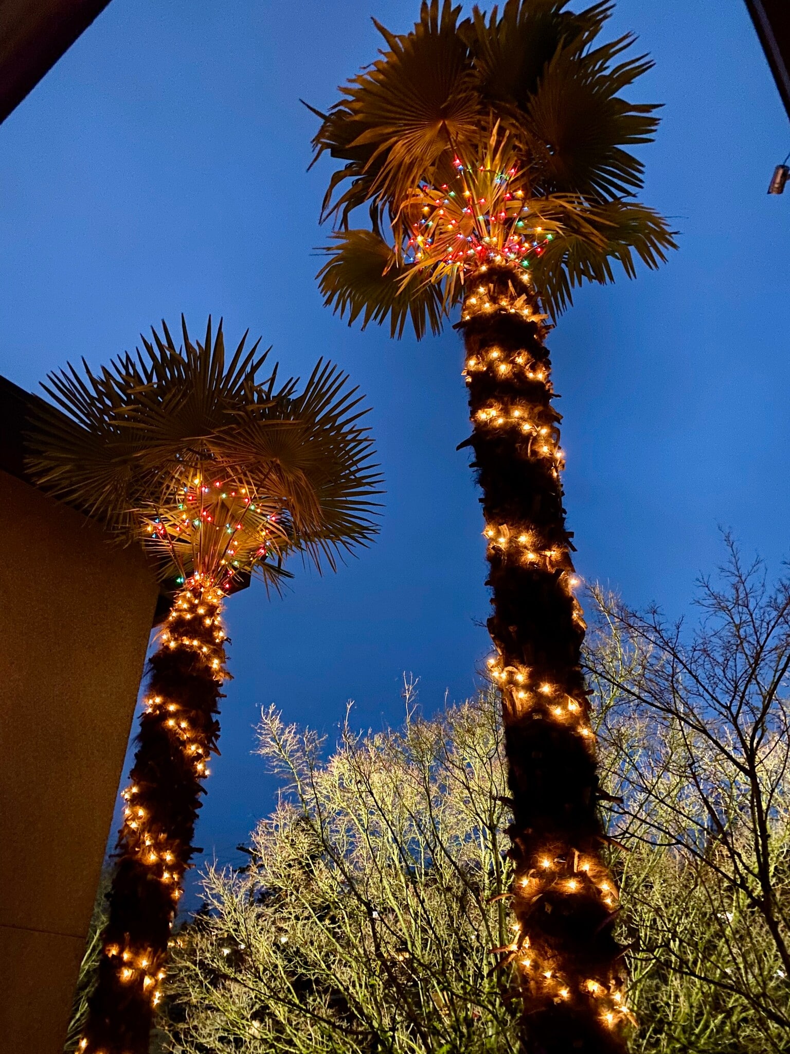 Building Photo - 400 Taylor Ave NW