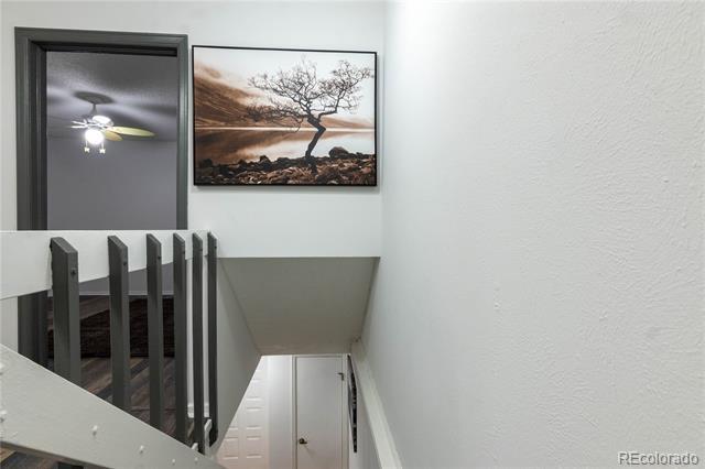 Building Photo - 1517 S Owens St