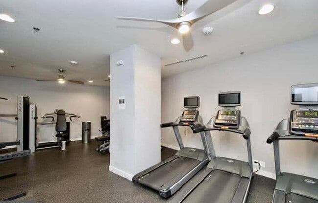 Building Photo - 2 Bedroom 2 Bathroom Modern Condo at The Lexicon, NoMa Neighborhood, Modern Appliances, Covered P...
