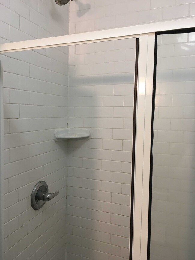 Full Bath 2 - 333 Whitaker St