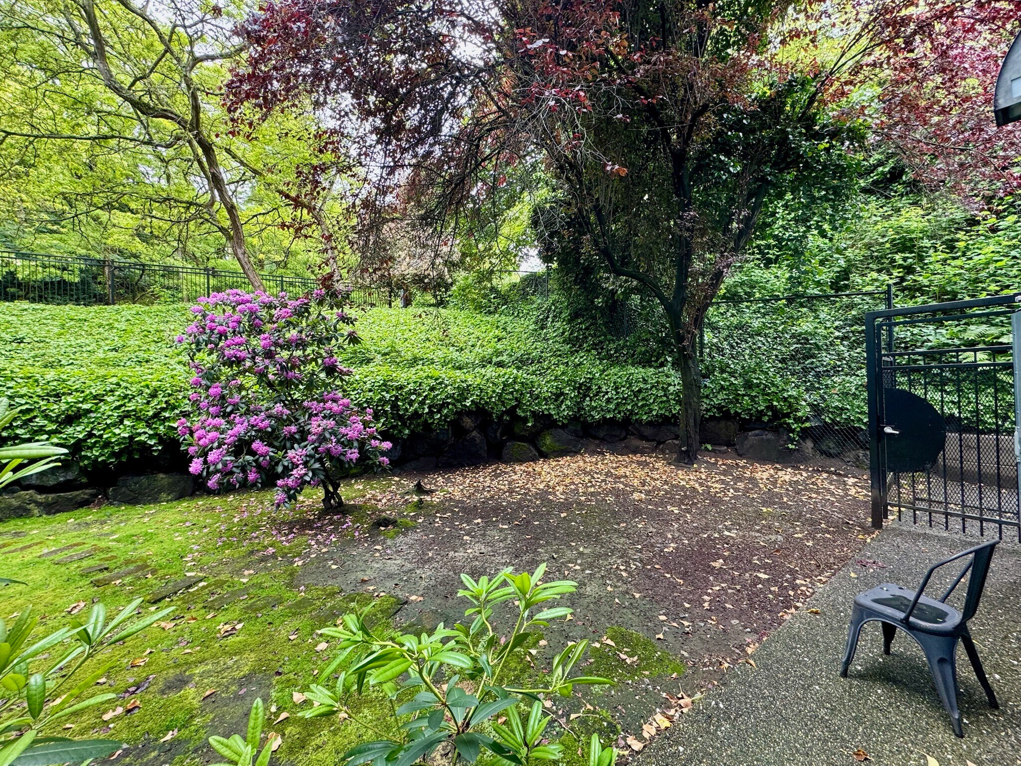 Pet owners will appreciate the dedicated dog-friendly outdoor space - 2145 Dexter Ave N