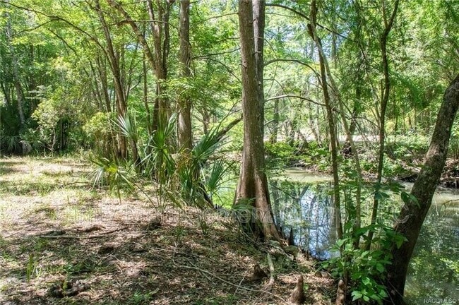 Building Photo - 217 S Tuck Point