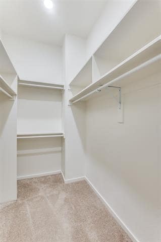 Building Photo - 3812 San Jacinto St