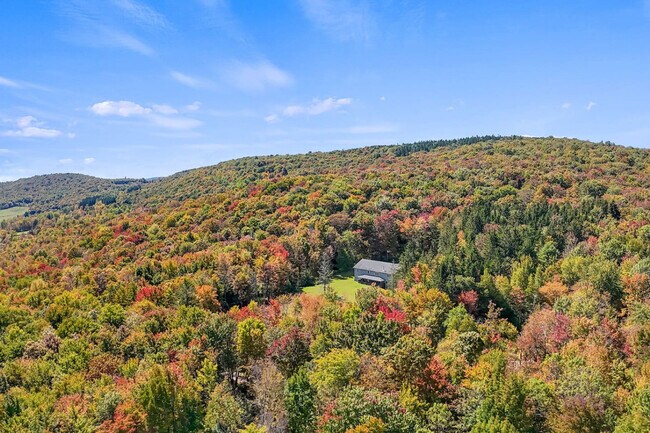 Building Photo - 1724 Calhoun Hill Rd