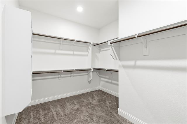Building Photo - 3501 Chacon Creek Trail