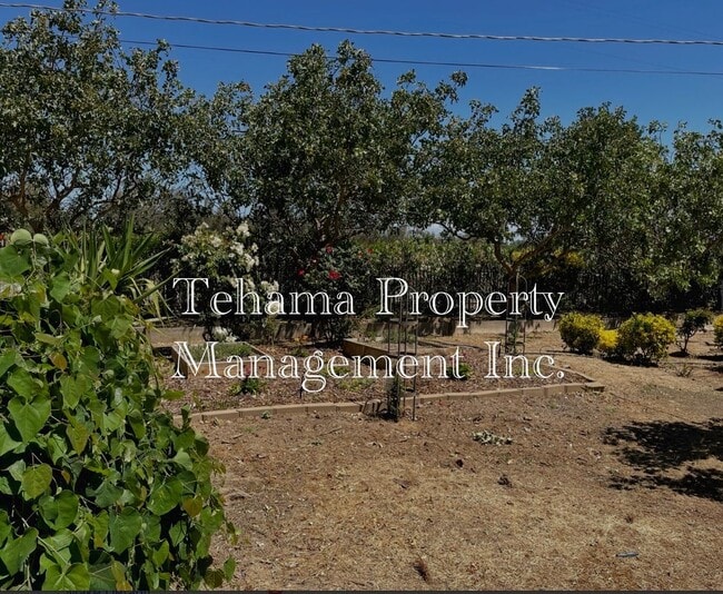 Building Photo - 2 bed 2 bathroom home in the El Camino/Gerber Area Available Unfurnished or Furnished