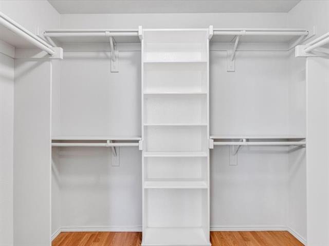 Building Photo - 1101 Roping Reins Way