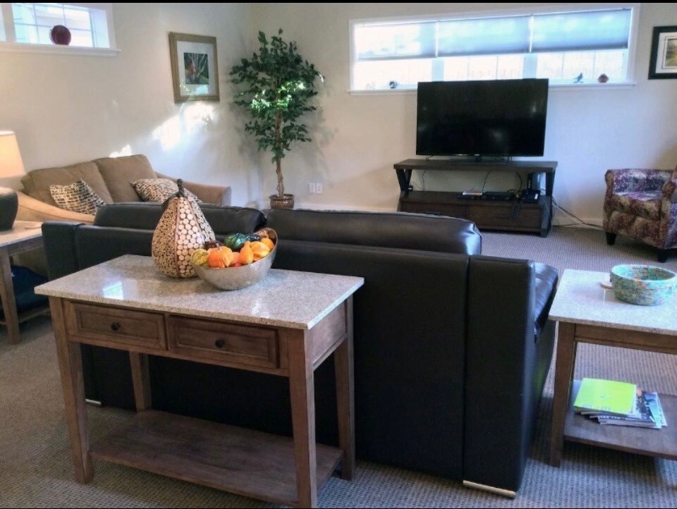 Large screen TV with Roku - 445 S 4th St