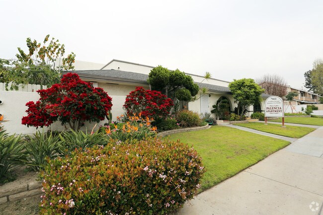 Building Photo - Palencia Apartments