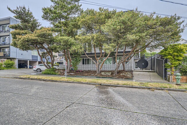 Primary Photo - Amazing 1bed/1bath Apartment in White Center!